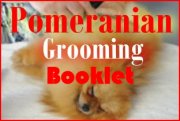 download pomeranian grooming booklet