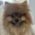 Profile picture of Vicki Stanko