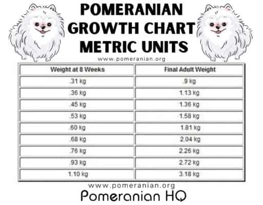 pomeranian-weight-chart-puppy-growth-chart-details