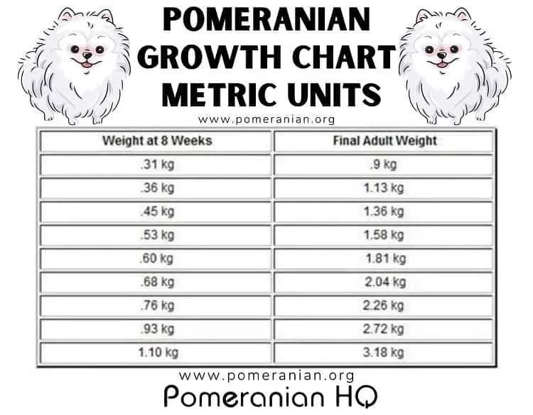 Pomeranian Growth Chart Metric Units