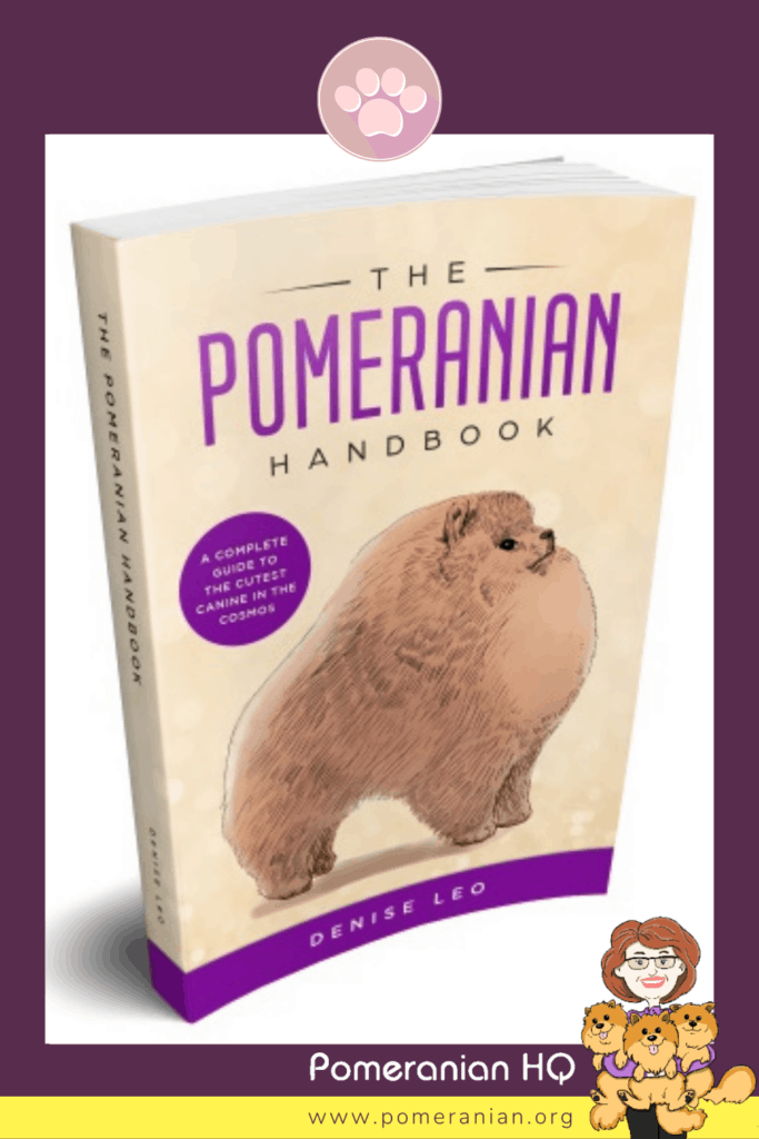 The Pomeranian Handbook written by Denise Leo is now available in eBook format (instant download) and hardcopy from PomWorld.Com