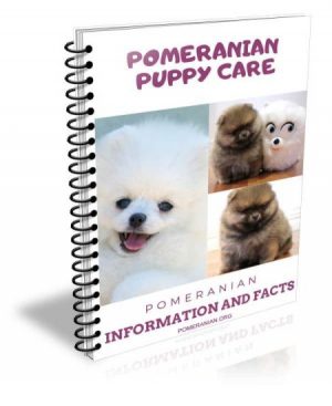Pomeranian Puppy Care Sheet Information Booklet