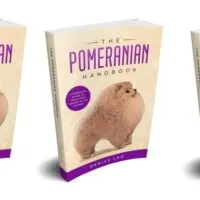 The Pomeranian Handbook