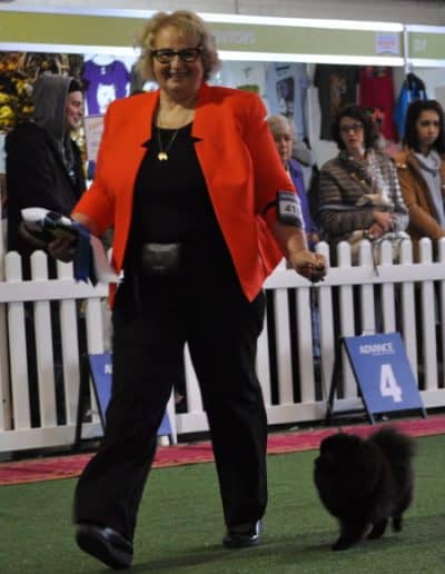 The Author Showing a Black Pomeranian