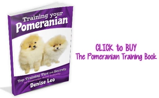 buy pomeranian training book