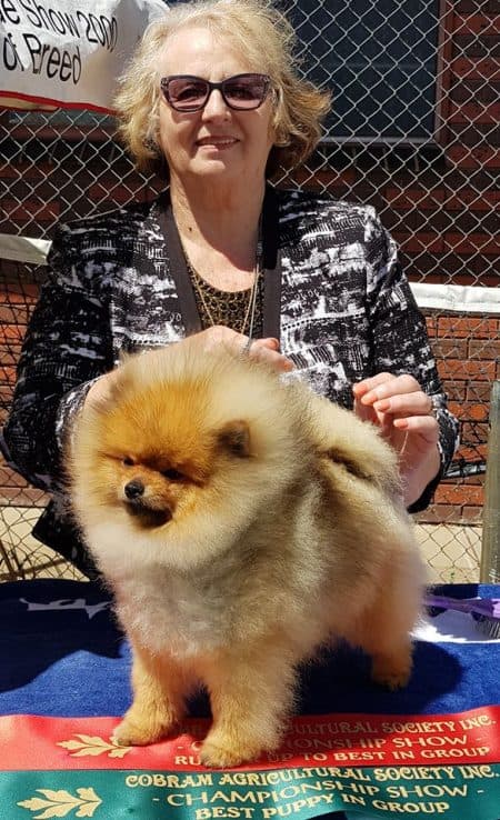 The Author, Denise Leo and a Champion Pomeranian