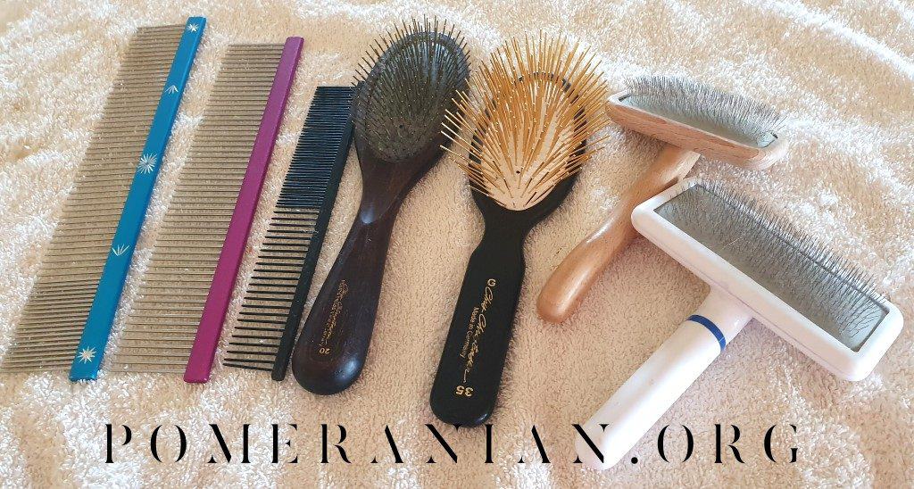 Pomeranian on sale grooming tools