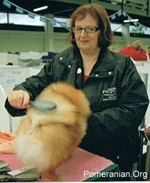Denise Leo Grooming Pomeranian