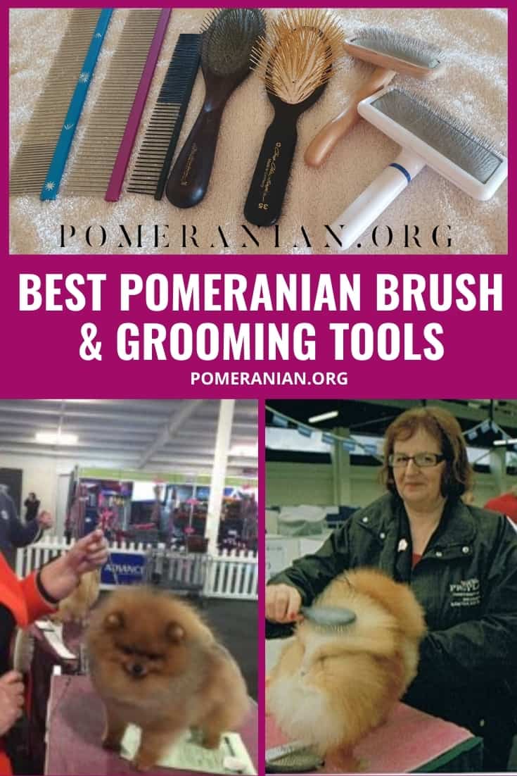 Pomeranian Grooming Tools