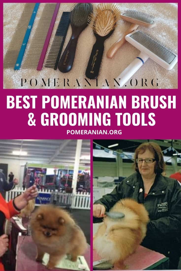 pomeranian hair brush