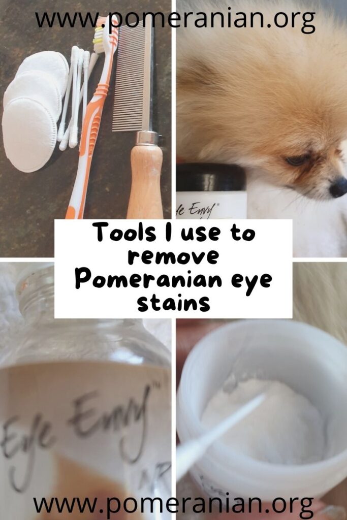 Pomeranian 2025 tear stains