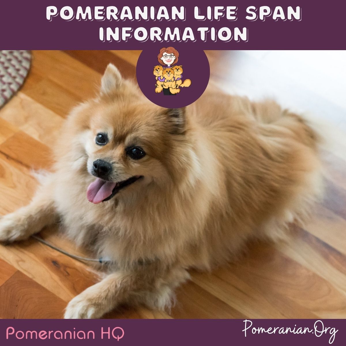 what do pomeranians die from