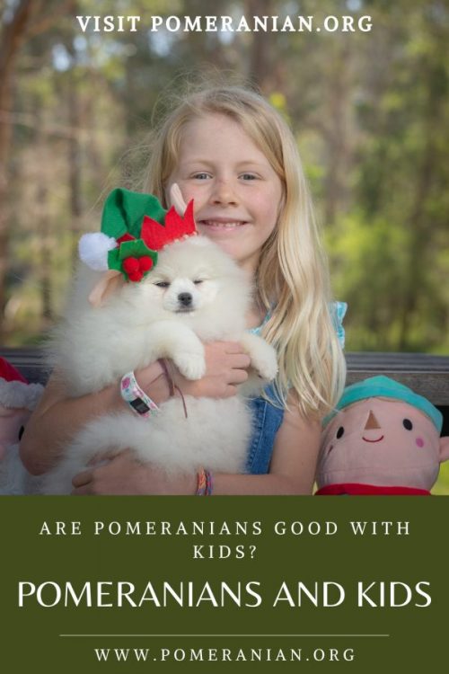 Pomeranian and Kids