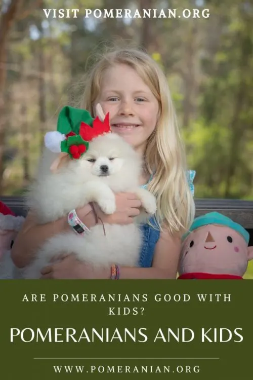 Pomeranian and Kids