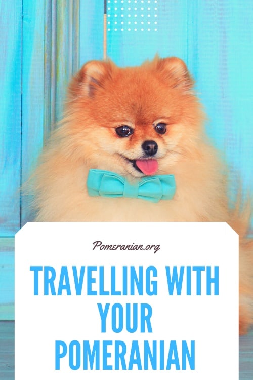 Pomeranian travel