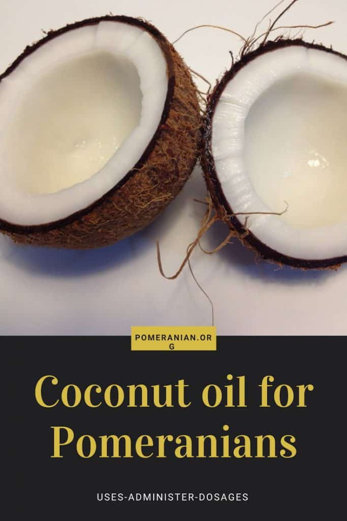 Health Benefits of Coconut Oil for Pomeranians