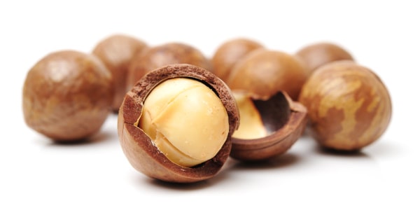 Can Dogs Eat Macadamia Nuts
