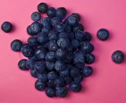 Blueberries pomeranian fruit