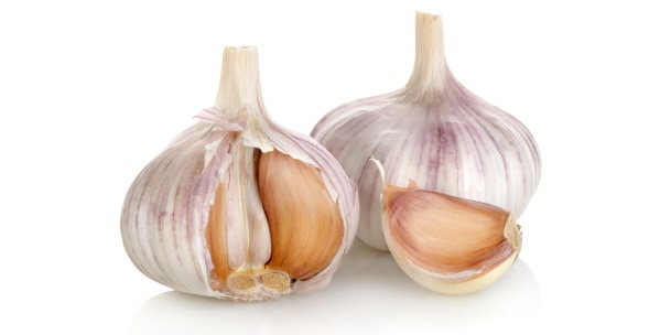 Can Dogs Eat Garlic?