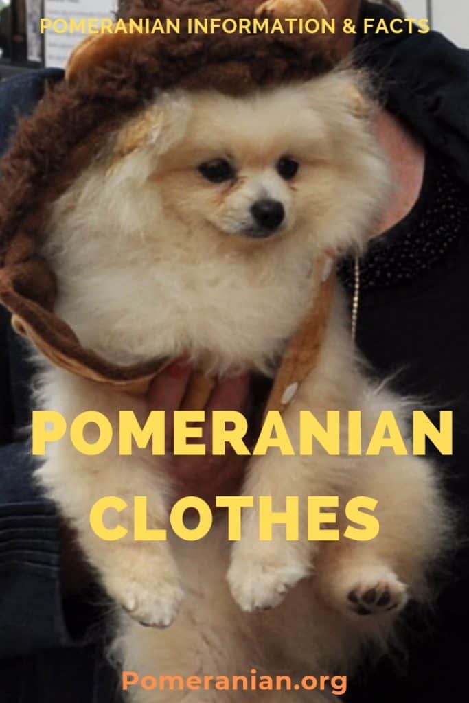 Clothes for Pomeranians