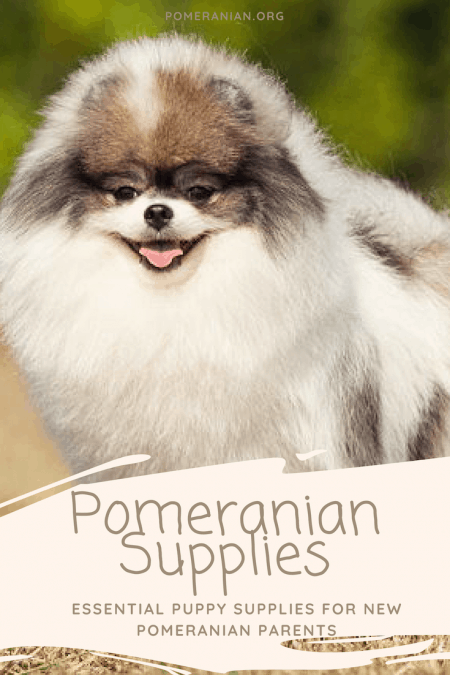 Pomeranian Puppy Supplies