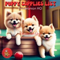 Puppy Supplies List