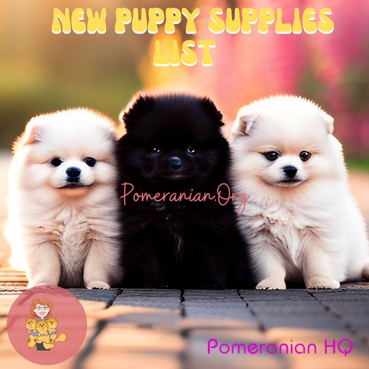 Puppy Supply List