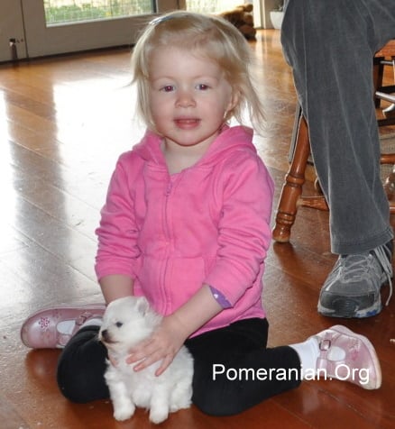 Baby and Pomeranian