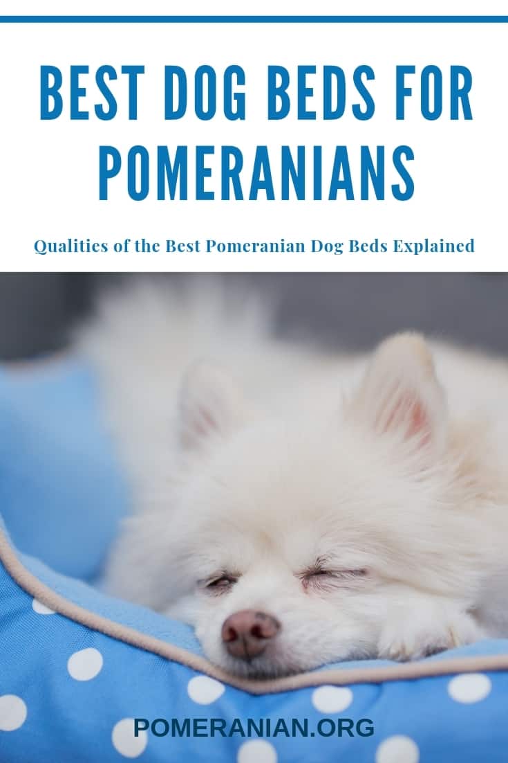 Best Dog Beds for Pomeranians