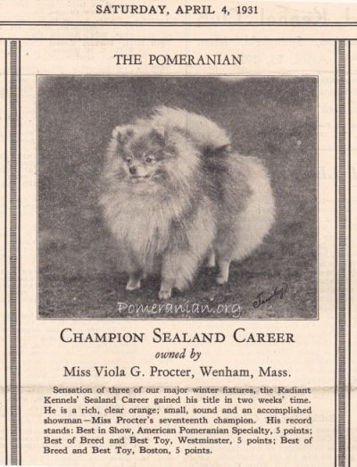 Champion Pomeranian Sealand Career owned by Miss Viola G Proctor