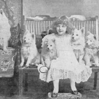 Miss Berbeck and White Pomeranians