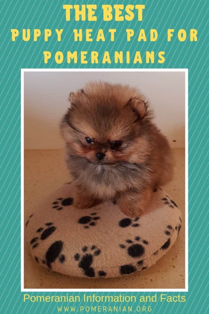 The best Puppy Heat Pad for Pomeranians