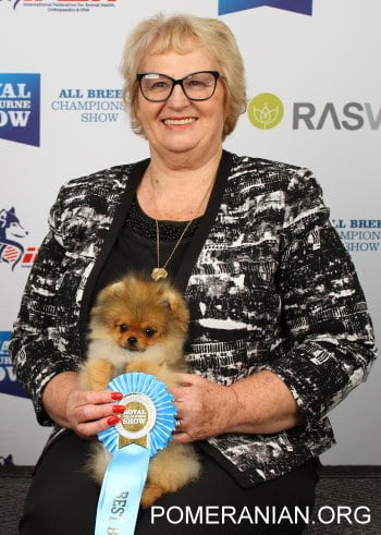 Denise Leo with a Pomeranian Puppy