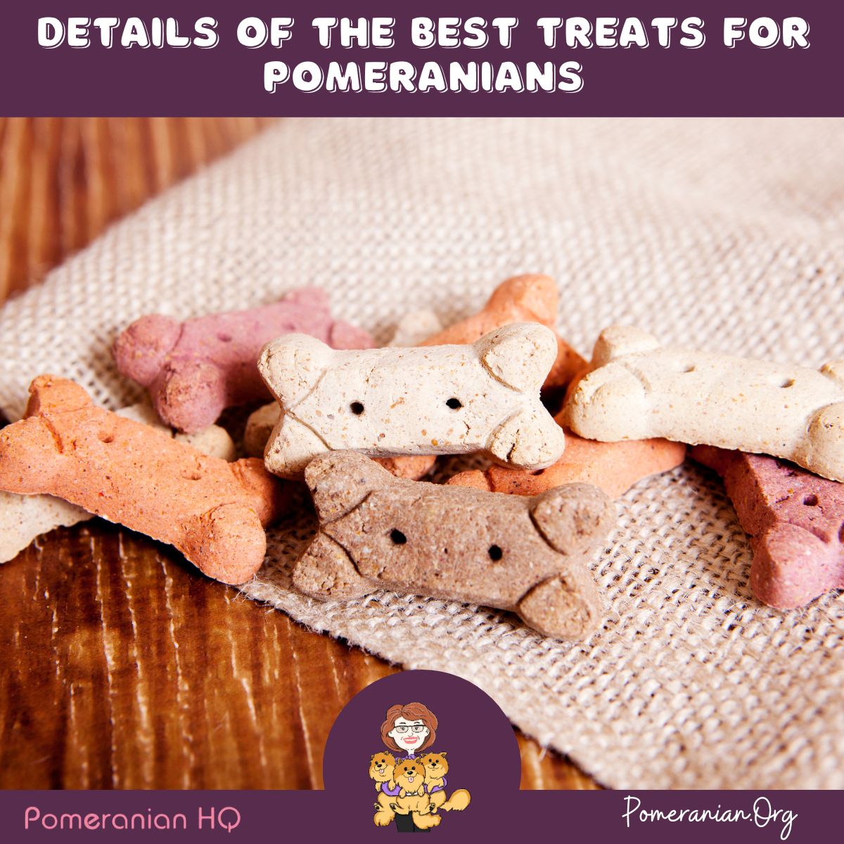 Details of The Best Treats for Pomeranians
