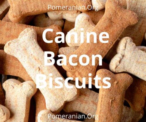 Canine Bacon Biscuits