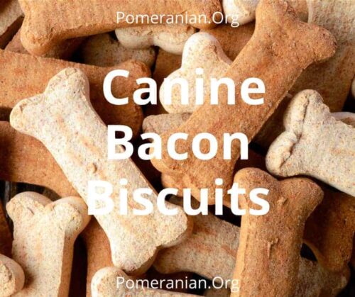 Best dog store treats for pomeranians