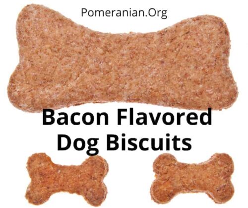 Details of The Best Snacks and Treats for Pomeranians