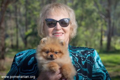 Denise Leo Dochlaggie Pomeranians