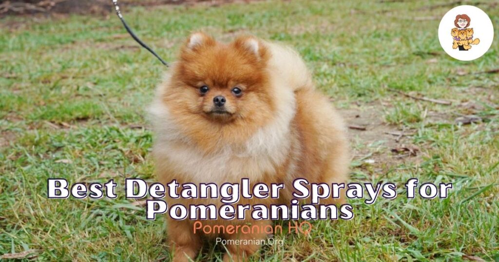 Best Detangler Sprays for Pomeranians