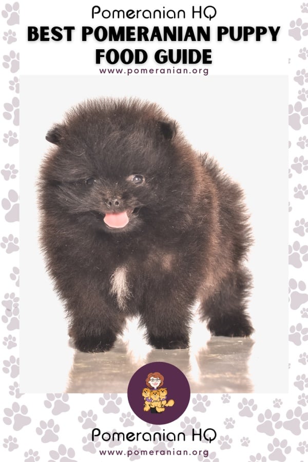 what is the best food for pomeranian puppy