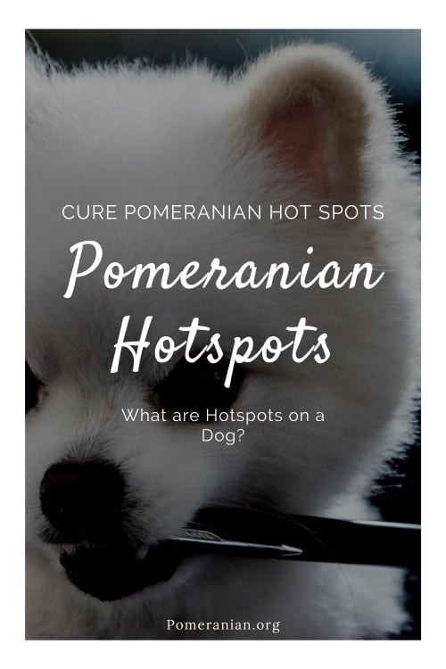 Pomeranian Hotspots