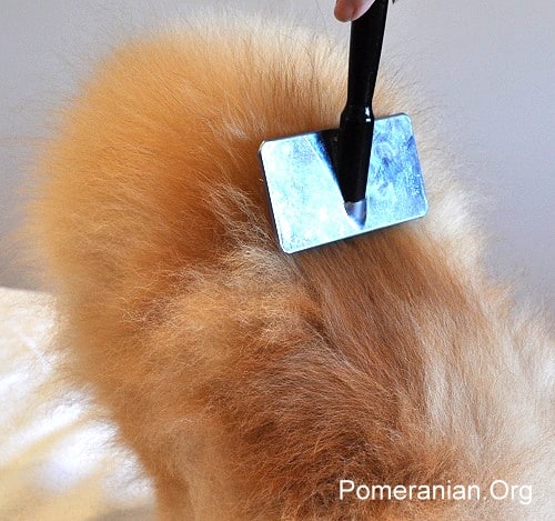 Best slicker brush for pomeranian sale