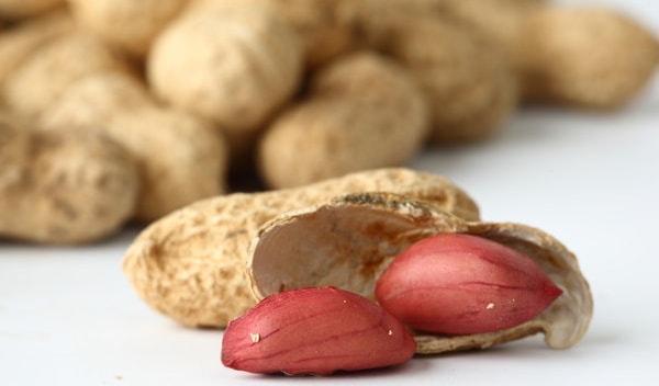 Can Dogs Eat Peanuts?