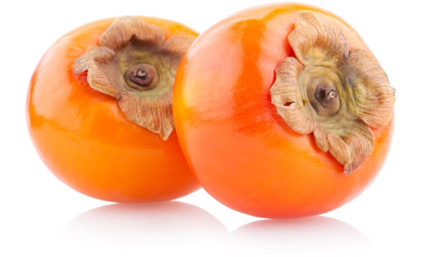 Can Dogs Eat Persimmon Fruit?