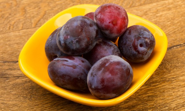 Can Dogs Eat Plums?