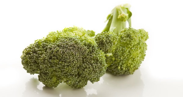 Can My Dog Eat Broccoli?