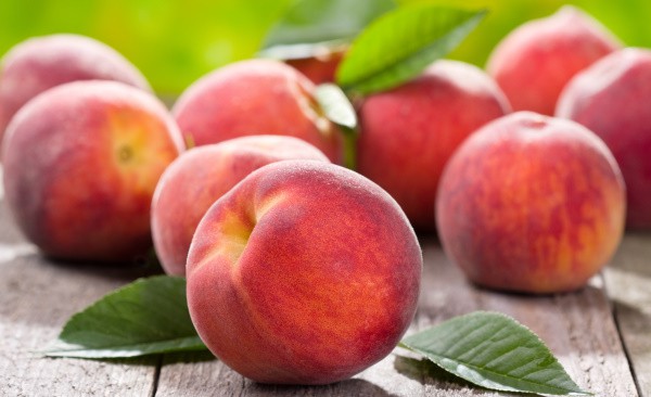 Can Dogs Eat Peaches?