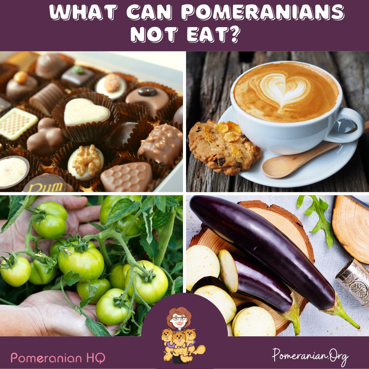 What Can Pomeranians Not Eat?