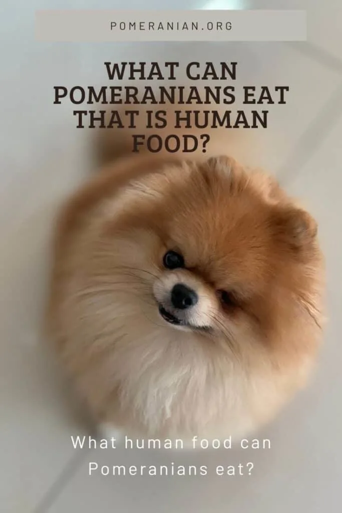 what fruit can pomeranians eat