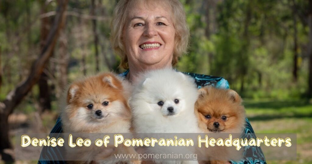 Denise Leo and Pomeranians